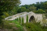 Ce pont, du XIIe siécle, permet de franchir la rivière la Laye. Il serait de la même époque que le prieuré Notre-Dame de Salagon. Il se trouve sur l'ancienne route reliant Apt à Sisteron.