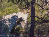 <center>Le pont de la reine Jeanne</center> Par ce pont du XVIe ou XIVe, on accède au village abandonné de Saint Symphorien. On l'utilisait aussi pour le passage de transhumance vers les grands pâturages de la vallée du Dromon.