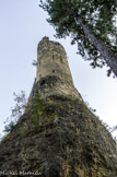 <center>Guillaumes</center>