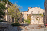 <center>Les Arcs sur Argens.</center>Place  du  Micocoulier. Belle place qui était ombragée par un micocoulier quadri centenaire, planté lors du passage de Louis XIV, en pèlerinage à Cotignac. Trop âgé, n’ayant plus la possibilité de s’alimenter et menaçant de tomber, l’arbre fut coupé en 2012 par mesure de sécurité et a été remplacé depuis.
