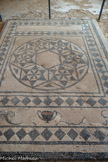 <center>Le site de la Villasse : la Maison aux Animaux sauvages</center>Les principaux pavements de mosaïque de Vaison sont attribués aux ateliers de la vallée du Rhône (école rhodanienne).. Sur le .site, la plupart d’entre eux ont un décor géométrique constitué de carrés curvilignes, de losanges, de tresses réalisés à partir de tesselles blanches, noires et orange.