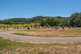 <center>Le jardin des 9 Damoiselles.</center>Jardin contemporain de Serge et Fabienne Boÿer, sculpteurs glypheins, réalisé entre 1998 et 2003.
Fabienne, Serge Boyer (1945-2016), artistes sculpteurs et glypheins ont ici témoigné de leur volonté de transmission pour faire sentir aux voyageurs ce qui se trouve derrière les 