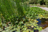 <center>L’Harmas à Sérignan-du-Comtat </center>Un grand bassin rond fait face à la bastide.