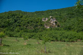 <center>Rochechinard.</center>Érigé hors de tout contexte militaire, ce « nouveau » château est avant tout l’emblème d’un lignage, celui des Alleman, qui y multiplie les marques identitaires (écus en chanfrein, motif de bâton écoté). À cette occasion la famille prend le nom de Allaman de Rochechinard. Aux XVIe et XVIIe siècles, les Mosnier réalisent les dernières transformations du site, avec la construction d’une galerie à l’italienne et plusieurs réaménagements internes. Les derniers travaux ont lieu en 1699 avec la réfection générale des toitures. Mais le site est totalement délaissé au début du XVIIIe siècle et en 1764 il est déjà inoccupé et en ruine. Au XIXe siècle le château, rendu aux éléments, suscite l’enthousiasme des peintres et poètes romantiques (E. Thuillier, D. Rahoult, Alexandre Debelle, V. Arnaud, A. Souchier, etc.). Comme beaucoup de châteaux, il sert au XIXe siècle de carrière de pierre et l’on retrouve de nombreux réemplois dans les maisons de la commune.