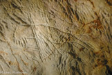 <center>Phoque 001</center>Cette représentation de phoque gravé (PH0001) est la plus détaillée. Cette façon naturaliste de les représenter correspond au groupe le plus ancien, possiblement gravettien. L'attribution au phoque moine, espèce Monachus monachus d'eau chaude ou tempérée est difficilement compatible avec les conditions climatiques de l'époque. On constate ensuite une tendance à la schématisation.