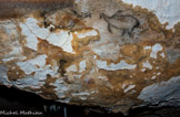 <center>Vue frontale de la coupole des pingouins.</center>Dessin au charbon, sur de la calcite se desquamant, représentant trois pingouins (PIN001 à PIN003). Deux mâles affrontés et une femelle.