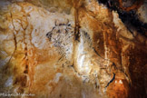 <center></center>Construction réplique grotte Cosquer le 20/4/22 (.Photo by Patrick Aventurier)