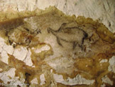 <center>Panneau des Pingouins</center>