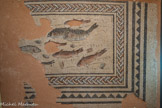 <center>MuséAl</center>La mosaïque aux poissons.
Découverte en 1967 lors de la fouille de la domus nord du Pinard, elle ornait le sol de la salle à manger (triclinium) de la maison.
Au-delà des qualités artistiques, les motifs, inhabituels, ont pour intérêt de montrer des poissons appréciés à cette époque.
On reconnaît des poissons d’eau douce : des perches (bandes sombres sur les flancs, aspect épineux des deux nageoires), des truites (silhouette fuselée, deux nageoires dorsales, coloris), et peut-être une tanche ou une carpe. Les coquillages évoquent une variété de «moule», l’anodonte, présente dans les rivières.
Marbre, pierre.
2e siècle, Alba / domus du Pinard