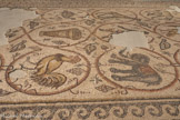 <center>PAVEMENT DE MOSAÏQUE, DÉPOSÉ DE DAYR AL-BALAH</center>La deuxième rangée montre une girafe, un dompteur et un éléphant. Sur la troisième rangée, apparaissent un oiseau avec sa portée, une situle avec des fruits et un coq.