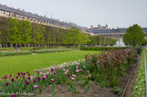 <center>Jardin du Palais-Royal</center> Composé d'un ensemble de rangs de tilleuls taillés en marquise et de marronniers rouges, le jardin est agrémenté d'une fontaine centrale dont les jets d'eau se déploient vers deux longues pelouses bordées de massifs de fleurs, redessinés par le paysagiste Mark Rudkin