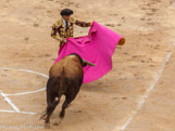 <center>Les arènes. </center> La feria.