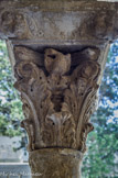 <center>Cloitre de St Trophime</center>galerie Nord. Chapiteau à deux rangs de feuilles d'acanthe. Une aigle aux ailes éployées décore le dé, sur la face principale.