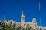 <center>Notre-Dame de la Garde</center>Des agaves.