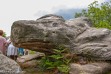 <center>Forêt de Fontainebleau. </center>