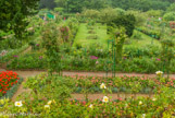 <center>Claude Monet à Giverny. </center>  Il fait supprimer les buis et les épicéas et les remplace par des arceaux métalliques. Il plante le jardin de milliers de fleurs selon un plan rectiligne.