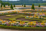 <center>Les jardins de Versailles.</center> Le parterre du midi ou jardin des Fleurs.