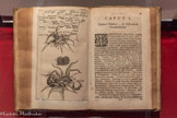 <center></center>Édition médicale de Giorgio Baglivi. marquant une rupture méthodologique. 1700.