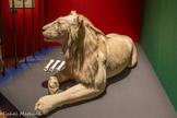 <center>BÊTES ARTISTES, OU ETES-VOUS ?</center>Il fut un temps, pas si lointain, où les rois s’offraient entre eux des animaux rares, caractéristiques de leur pays. Au XVIe siècle, le sultan de Cambay, en Inde, donne un rhinocéros au roi du Portugal. Après que cet animal a été présenté au public de Lisbonne, Dom Manuel Ièr l'a offert au pape, et l'on sait que le roi de France François ler a vu ce rhinocéros qui faisait escale à Marseille, en 1515, au château d'if. À la même époque, l'empereur aztèque Moctezuma II possédait une vaste ménagerie, qui abritait toutes les espèces connues de son empire. <btr> Lion dans « Bêtes Royales et objets perdus » - Musée du Louvre 2005 ; « Eblouissante Venise » Grand Palais ; « Trouble fête » Maison Jean Vilar 2018