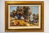 <center>Laurent Mattio</center>Oliviers à Ollioules. Huile sur panneau 38 x 55 cm Collection particulière.