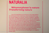 <center>NATURALIA</center>Métamorphoser la nature
Les arts populaires ont recours à une large palette de techniques et de matériaux, dont les éléments issus du monde végétal ou animal, vivant ou disparu, appelés naturalia. Les objets fabriqués à partir de ces matériaux utilisent parfois simplement la forme originelle de l’espèce pour là transformer en un objet usuel. On retrouve également des matériaux naturels utilisés dans les décors qui ornent les objets, les rendant plus précieux. La plupart des espèces présentes dans les collections sont désormais protégées par la Convention sur le commerce international des espèces de faune et de flore sauvages menacées d’extinction, dite Convention de Washington, en vigueur depuis 1975.