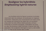 <center>Souligner les hybridités</center>Les frontières entre les figures humaines et animales s'abolissent dans les pratiques carnavalesques et magiques notamment; Traductions d'un renversement dé l'ordre social, les masques de carnaval et les objets liés à la sorcellerie empruntent les traits d'êtres métamorphosés, animaux humanisés ou humains animalisés. L'hybridation est aussi au cœur du processus créatif d'artistes s'inspirant des rites populaires. Ces sculptures interrogent ce qu’il y a de la bête dans l'humain et de l'humain dans la bête.