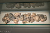 Lot de coquilles d'huître
Époque romaine
Fouilles du Rhône, 2011
Arles, musée départemental Arles antique, dépôt du Drassm. Ce lot d'huîtres représente 0,01 % des coquillages trouvées lors des fouilles subaquatiques du Rhône en 2011.