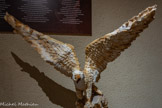 <center>Cordes-sur-ciel. Le musée des Arts du sucre et du chocolat</center>L'aigle est réalisé en sucre soufflé, habillé de pastillage et coloré à l’aérographe avec du colorant alimentaire. Temps de réalisation : 20 h