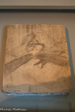<center>Musée Toulouse-Lautrec</center>Henri de Toulouse-Lautrec
(1864-1901)
Yvette Guilbert ‘’Unger, longer, loo” 1898
Pierre lithographique 
Don de Me Sagot Le Garrec, 1975