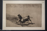 <center>Le musée Goya.</center>Bien dissimulé, le très habile étudiant de Falces se joue du taureau avec ses passes
EAU-FORTE, AQUATINTE BRUNIE ET POINTE SÈCHE ET BURIN
SÉRIE LA TAUROMACHIE (1815-1816) - PLANCHE 14