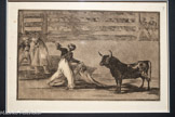 <center>Le musée Goya.</center>Origine des harpons et des banderilles.
EAU-FORTE, AQUATINTE BRUNIE ET POINTE SÈCHE
SÉRIE LA TAUROMACHIE (1815-1816) – PLANCHE 7