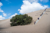 <center>La Dune du Pilat</center>La dune du Pilat est située à l’entrée du bassin d’Arcachon sur la commune de La Teste de Buch, en Gironde. 
 Appartenant aux dunes côtières d’Aquitaine, elle est à ce jour, la seule dune toujours en mouvement de ce système. Entre océan et forêt, elle se déplace de 1 à 5 m par an vers l’est sous l’influence des vents dominants et des marées.
 Ainsi, elle recouvre peu à peu le massif forestier attenant. Constituée d’environ 60 millions de m3 de sable, la dune du Pilat mesure 100 à 115 m de haut selon les années.