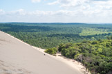<center>La Dune du Pilat</center>La dune du Pilat appartient au système des dunes côtières. Elle est la seule dune toujours en mouvement de ce système. A l’Est, la dune est Bordée par la forêt usagère de La Teste de Buch, véritable océan de verdure. Très peu d'espèces végétales poussent sur.la dune, en dehors de quelques plantes robustes telles que l’oyat et le chiendent. Habituellement, ces espaces participent à la fixation des dunes littorales. Elles sont adaptées au milieu et résistent donc aux intempéries et au manque d'eau. En revanche, elles souffrent du piétinement.