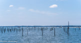 <center>Le bassin d'Arcachon</center>Parc à huitres.