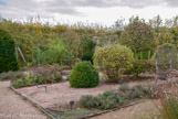 <center>Les Chartreuses des Montreuils. </center> Le cloître des simples au milieu duquel ont été disposés des carrés de plantes médicinales, tinctoriales et condimentaires.