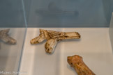 <center>Chalon-sur-Saône </center>L’univers symbolique de la chasse au Paléolithique supérieur
Moulages : Fragment de propulseur orné de têtes de chevaux. Provenance : Mas-d’Azil (Ariège)