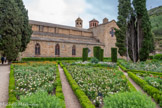 <center>Abbaye de Fontfroide.</center>Au premier plan, roses Madeleine Fayet.