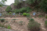 <center>Abbaye de Fontfroide.</center>Le jardin des abeilles.