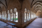 <center>Cathédrale Sainte-Eulalie-et-Sainte-Julie d'Elne</center>Le cloître est renommé pour la richesse de l'appareil et par l'extrême variété des motifs de décoration. Ainsi, les chapiteaux des colonnettes, les impostes des piliers, un grand nombre des futs des colonnettes, quelques astragales sont couverts d'une ornementation d'une grande variété : telle colonnette est revêtue d'écailles, telle autre d'entrelacs ou striée de cannelures ou creusée de gorges profondes contournées en spirale. Certains futs sont à pans coupés et d'autres ornées de feuillages.