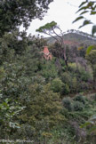 Villa Durazzo Pallavicini. <br> 2ème acte : la valorisation de l'histoire. on aperçpit le toit du  mausolée du capitaine.