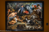 <center>La Chasse au sanglier.</center>Pierre-Paul RUBENS
Siegen, 1577 – Anvers, 1640
Vers 1615 - 1616
Huile sur toile.
La chasse au sanglier fait partie d'un ensemble de quatre peintures de chasses provenant château de Schleissheim qui appartenaient à Maximilien de Bavière. Cette furieuse mêlée de chiens, de chasseurs et d'animaux, obéit à une composition magistrale. Toute en courbes, seules, deux lignes droites formées par les lances des chasseurs, attirent notre regard au centre de la toile, désignant l’œil du sanglier et nous  plongeant immédiatement au cœur du drame en train de se jouer.