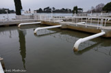 <center>Centre de sainte Marthe. </center> L'eau décantée traverse ensuite une batterie de filtres équipés d'une couche de sable quartzique d'un mètre d'épaisseur. Ces derniers vont retenir les plus infimes particules encore présentes. En les retenant, ces filtres se colmatent. Ils sont donc régulièrement nettoyés par un lavage à contre-courant à l'air et à l'eau.
