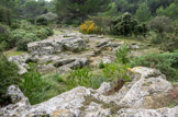 <center> Autour de St Blaise. </center> Les tombes rupestres.