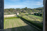 <center>Monastère Saint-Paul-de-Mausole</center>Le jardin.