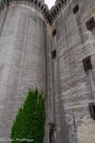 <center>Le château de Tarascon</center>L'escalier, entre la tour et le mur,  est récent.