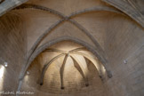 <center>Le château de Tarascon</center>Chapelle haute. Elle possède deux voûtes en croisées d'ogives et une abside à six nervures. Les culots sont sculptés de feuillages et d'animaux fantastiques. On y trouve la baie monumentale gothique.