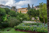 <center>La Banque, musée des Cultures et du Paysage. </center>La zone « exotique » à droite : Acacia «clair de
lune », Aloès arborescent, Alocasia. Alstroemeria, Arecastrum Syagrus, Bambou nain, Callistemon, Canna, Cordyline, Cycas revoluta, Erythrina « crista galli », Hibiscus, Phormium, Strelitzia augusta, Strelitzia nicolai.