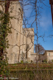 <center>Les jardins du Palais</center>Le jardin du Palais planté d’essences méditerranéennes présentes au XIVe siècle.