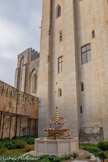 <center>Les jardins du Palais</center>Le Jardin du Pape est un jardin intime, qui disposait d’un accès direct depuis les appartements du Pape. Le réaménagement lui redonne son caractère précieux avec la recréation de la fontaine du griffon ainsi que de la prairie fleurie qui l’entourait.