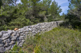 <center>Le mur de la peste</center>Coté français.